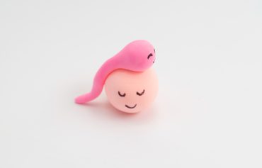 Preconception & Pregnancy Preparation